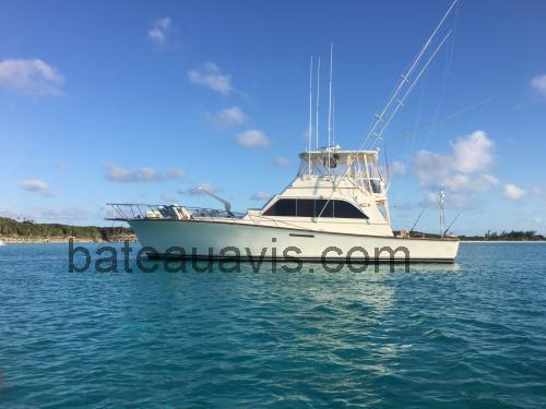 Ocean Yachts 55 avis et fiche technique 